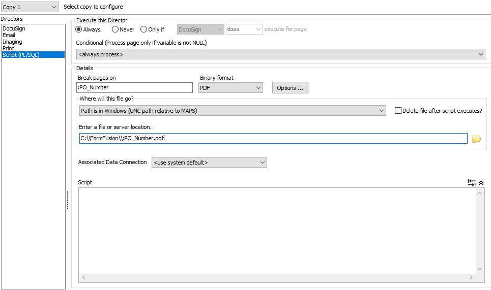 The Script director screen. Here you can set execution conditions, page breaks, the file path for the generated file, the A D O connection, and write the script itself.